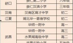 世界杯今日爆料结果分析,今日焦点战结果解析与影响解读